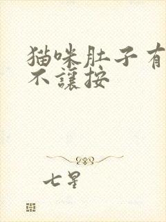 猫咪肚子有硬块不让按