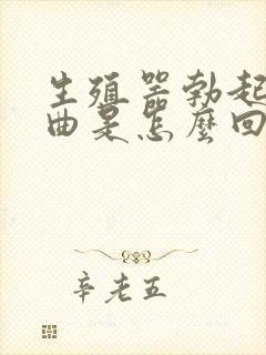 生殖器勃起后弯曲是怎么回事