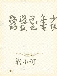 路过我年少时光的蓝色电视剧