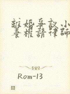 离婚争议小孩抚养权请律师要多少钱