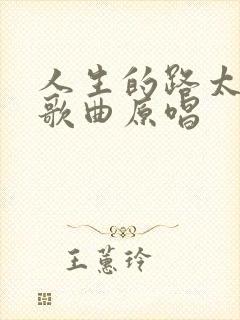 人生的路太难走歌曲原唱封面