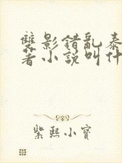 双影错乱泰剧原著小说叫什么名字