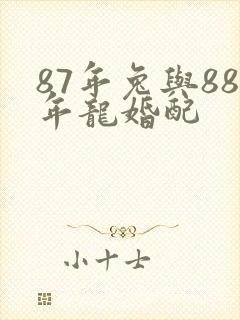 87年兔与88年龙婚配