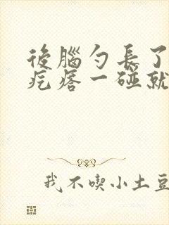 后脑勺长了几个疙瘩一碰就疼