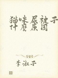 猫咪尿被子上是什么原因