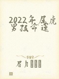 2022年属虎男孩命运