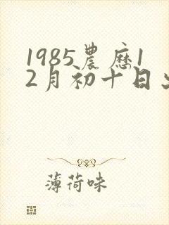 1985农历12月初十日出生的命运