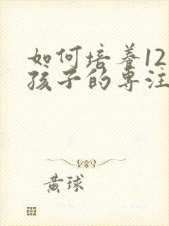 如何培养12岁孩子的专注力的十种方法