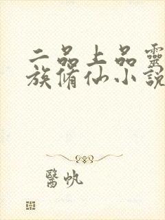 二品上品灵脉家族修仙小说