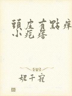 头皮有点痒还有小疙瘩