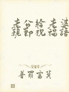 老公给老婆的母亲节祝福语