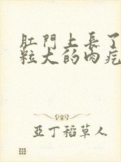 肛门上长了个米粒大的肉疙瘩封面