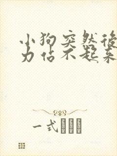 小狗突然后腿无力站不起来还颤抖