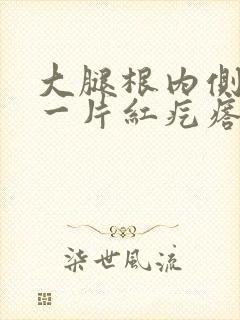 大腿根内侧起了一片红疙瘩封面