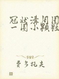 冠状沟周围长了一圈小颗粒