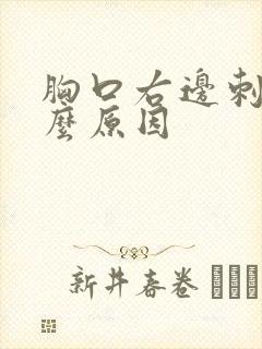 胸口右边刺痛什么原因