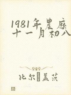 1981年农历十一月初八出生的命运