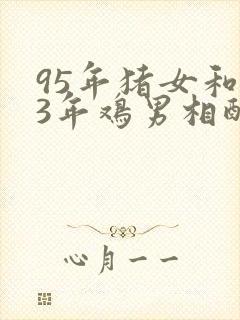 95年猪女和93年鸡男相配婚姻如何