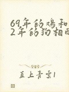 69年的鸡和82年的狗相配吗