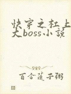 快穿之杠上反派大boss小说
