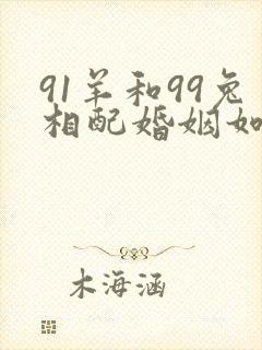 91羊和99兔相配婚姻如何