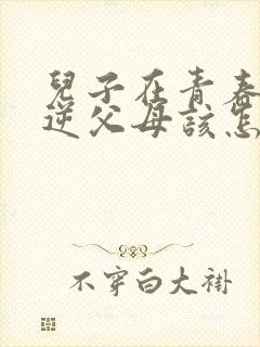 儿子在青春期叛逆父母该怎么办