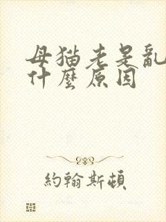 母猫老是乱尿是什么原因