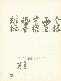 离婚有两个小孩抚养权怎样判定