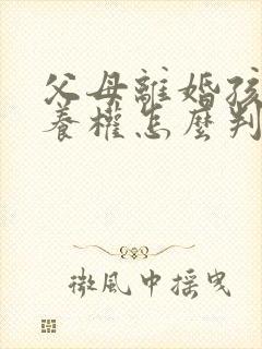 父母离婚孩子抚养权怎么判定