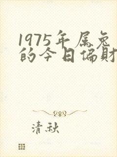 1975年属兔的今日偏财运