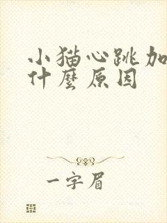 小猫心跳加快是什么原因