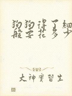 狗狗得了细小一般要花多少钱治