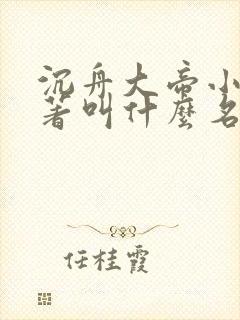 沉舟大帝小说原著叫什么名字封面