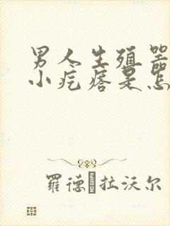 男人生殖器上长小疙瘩是怎么回事封面