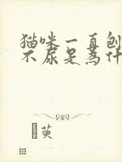 猫咪一直刨猫砂不尿是为什么