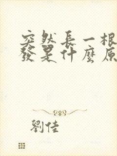 突然长一根白头发是什么原因造成的