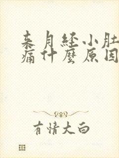 来月经小肚子胀痛什么原因引起的