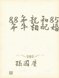 88年龙和85年牛相配婚姻如何