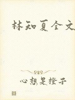 林知夏全文阅读
