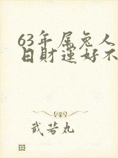 63年属兔人今日财运好不好