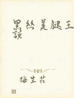 黑丝美腿玉足小说封面