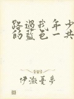 路过我年少时光的蓝色一共多少集