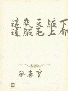 这几天腋下有味道腋毛上都成白色了