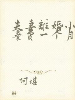 夫妻离婚小孩抚养费一个月多少钱