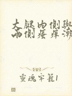 大腿内侧与阴囊两侧瘙痒潮湿发黑用什么药膏