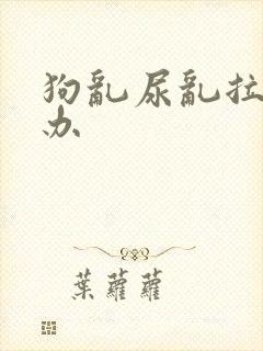 狗乱尿乱拉怎么办