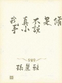 我真不是修仙高手小说封面