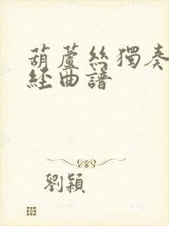 葫芦丝独奏曲心经曲谱