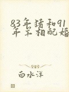 83年猪和91年羊相配婚姻如何