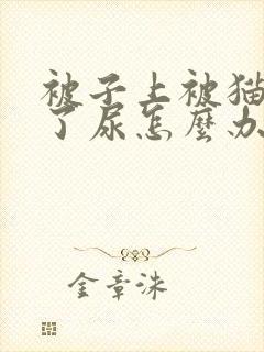 被子上被猫咪尿了尿怎么办